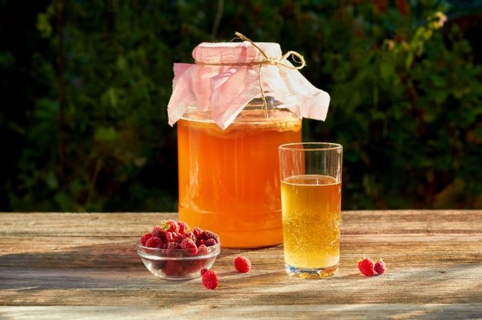 Kombucha: receita poderosa para emagrecer