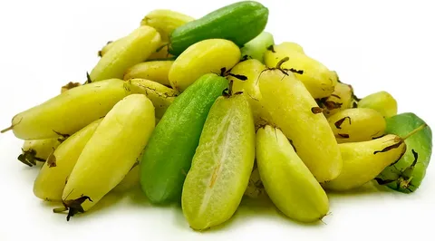 Bilimbi