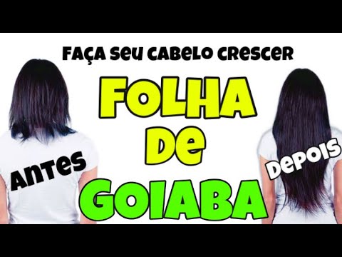 ônico de folha de goiaba crescimento capilar