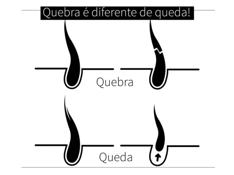 Qual a diferença entre Queda de Cabelo e Quebra de Cabelo? – Guia Completo