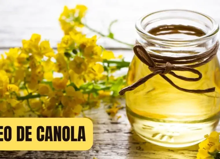 O óleo de canola é saudável? Confira