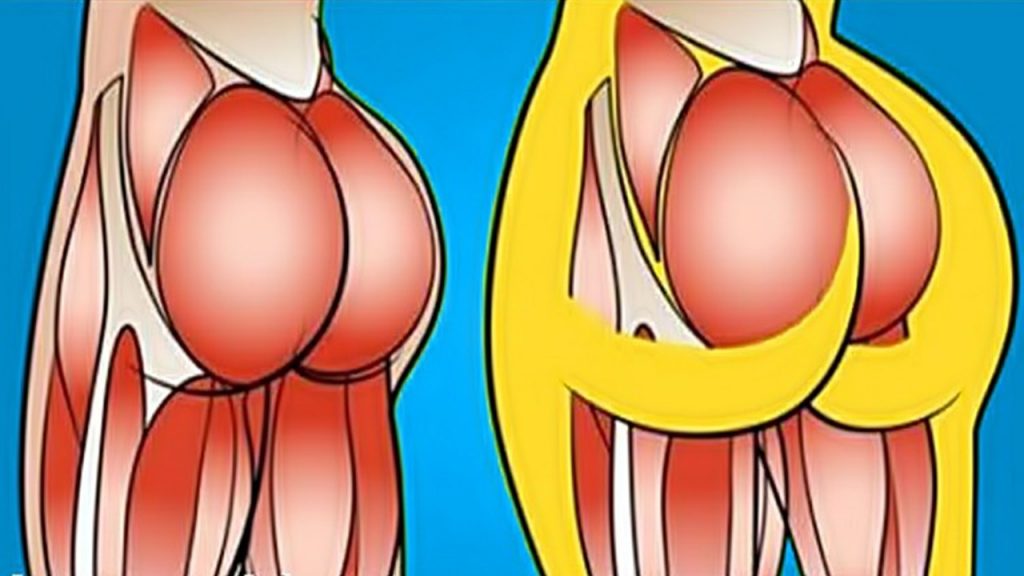 Dicas Para Aumentar o Bumbum sem Academia!