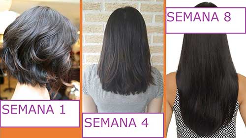 Receita caseira: Shampoo para crescimento capilar