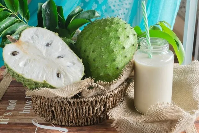 8 Benefícios da Poderosa Fruta Graviola para a sua Saúde