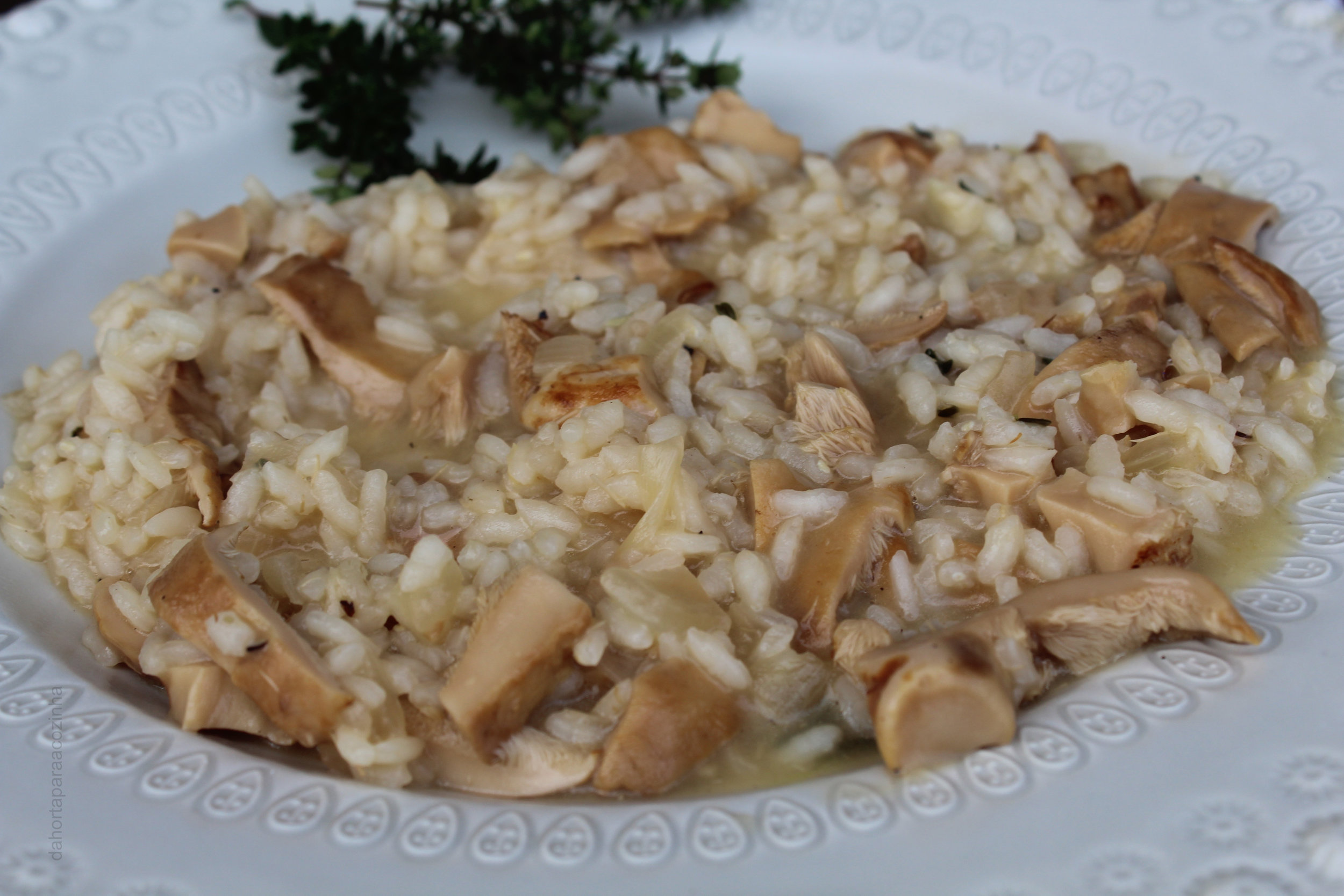 Risoto de Cogumelos Selvagens