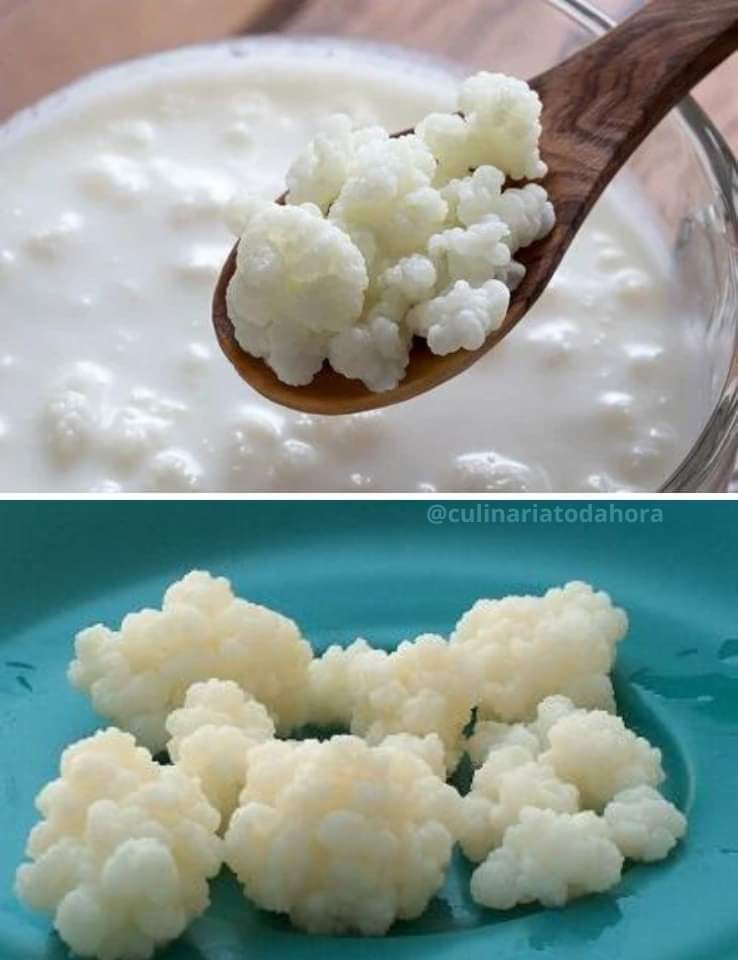 Kefir