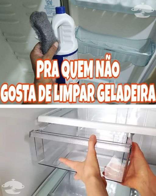 geladeira e deixar limpinha e tirar todo mau cheiro