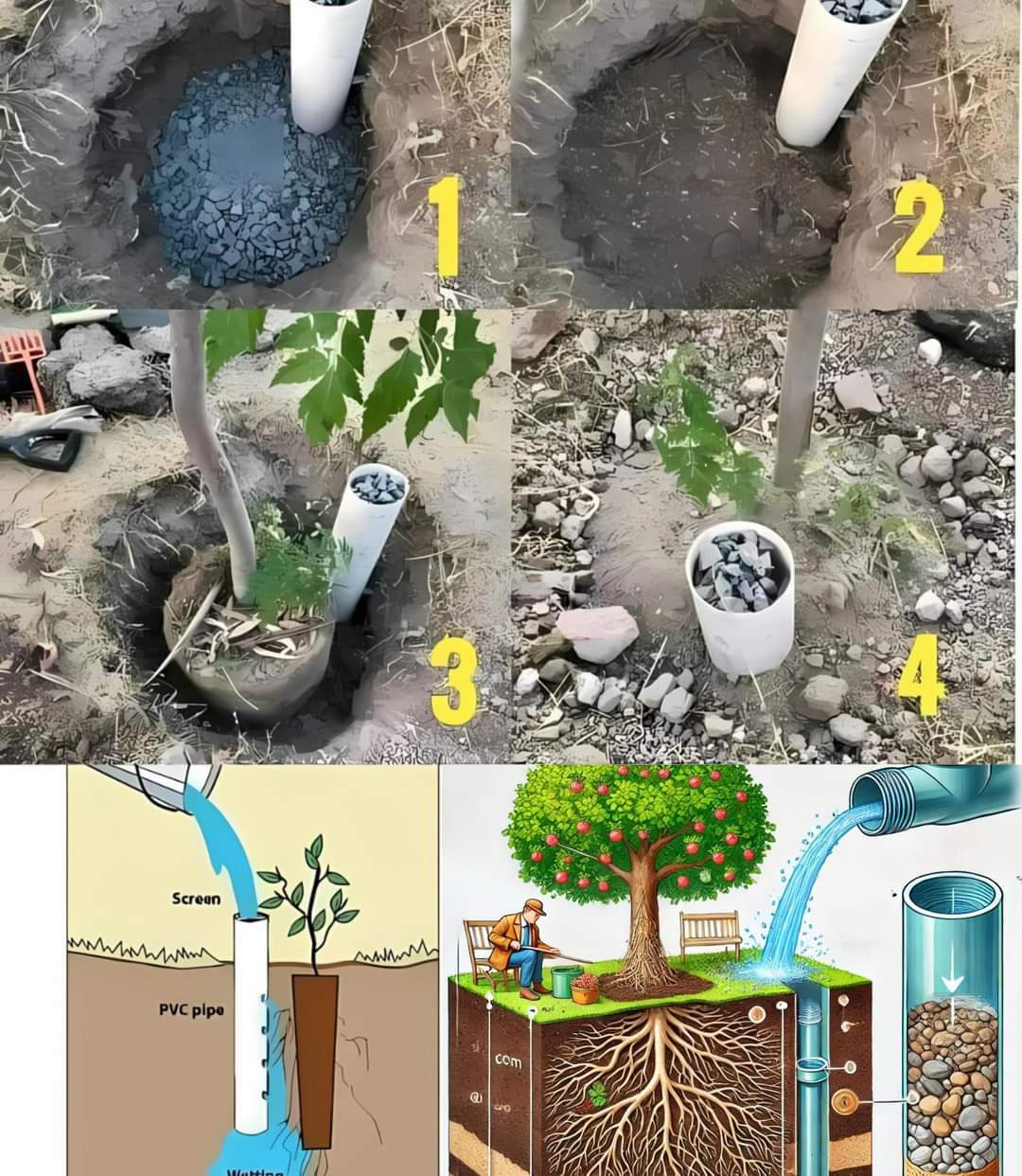 Plante Sua Árvore do Jeito Certo: Um Guia Completo