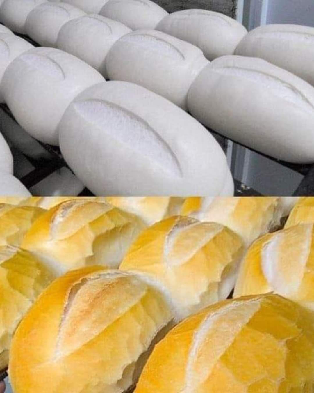 pão francês em casa